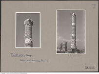 Thumbnail für Paestum - Pedimonte d'Alife (1)