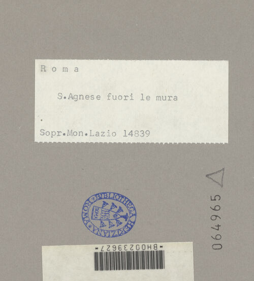 Rückseite von Sopr.Mon.Lazio [https://www.deutsche-digitale-bibliothek.de/content/lizenzen/rv-ez/] Sant'Agnese fuori le Mura - Blick auf die Apsis, bh064965_recto. Foto.