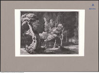 Thumbnail des 16. Ordners