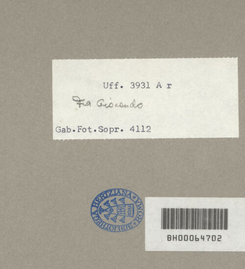 Rückseite von bh071702_recto