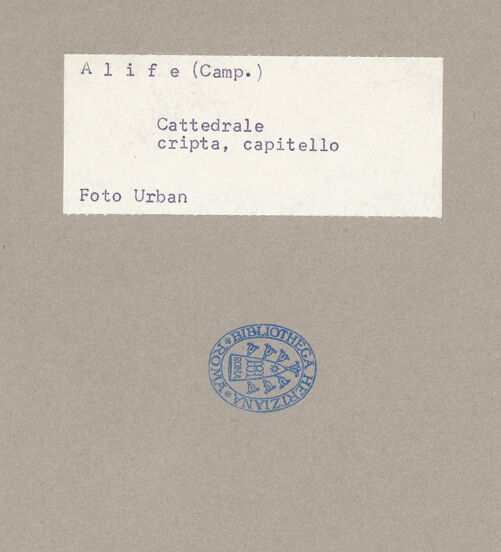 Rückseite von Urban [https://www.deutsche-digitale-bibliothek.de/content/lizenzen/rv-ez/] Seitenansicht, bh071777_recto. Foto: Urban, Thomas.