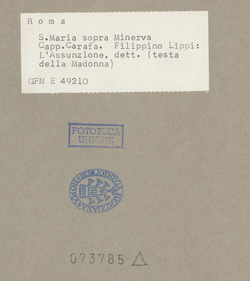 Rückseite von bh073785_recto