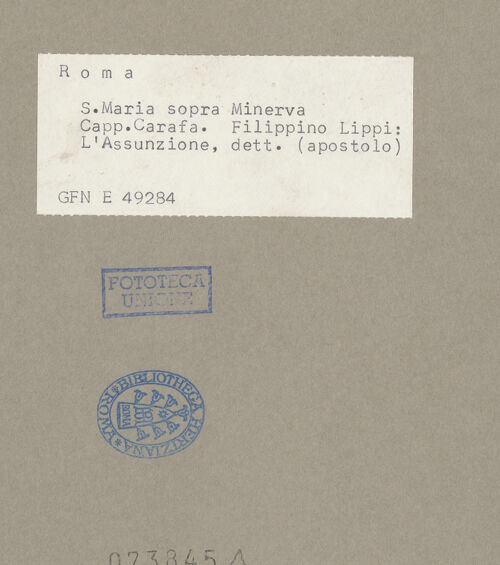 Rückseite von bh073845_recto