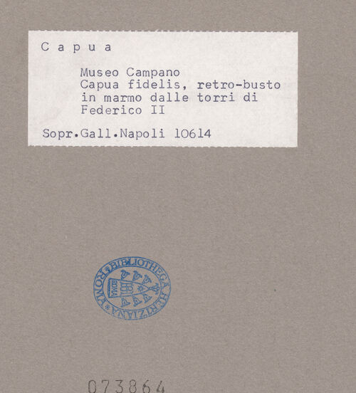 Rückseite von Sopr. BAS NA [https://www.deutsche-digitale-bibliothek.de/content/lizenzen/rv-ez/] Kopf der Capua Fidelis - Rückseite, bh073864_recto. Foto.