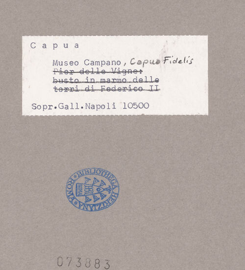 Rückseite von Sopr. BAS NA [https://www.deutsche-digitale-bibliothek.de/content/lizenzen/rv-ez/] Kopf der Capua Fidelis - Profil (von rechts), bh073883_recto. Foto.