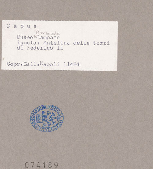 Rückseite von Sopr. BAS NA [https://www.deutsche-digitale-bibliothek.de/content/lizenzen/rv-ez/] Fragment eines Löwen (Konsole oder Tragfigur) - Ansicht von rechts, bh074189_recto. Foto.