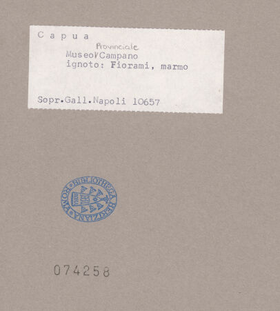 Rückseite von Sopr. BAS NA [https://www.deutsche-digitale-bibliothek.de/content/lizenzen/rv-ez/] Platte mit Blumen - Gesamtansicht, bh074258_recto. Foto.