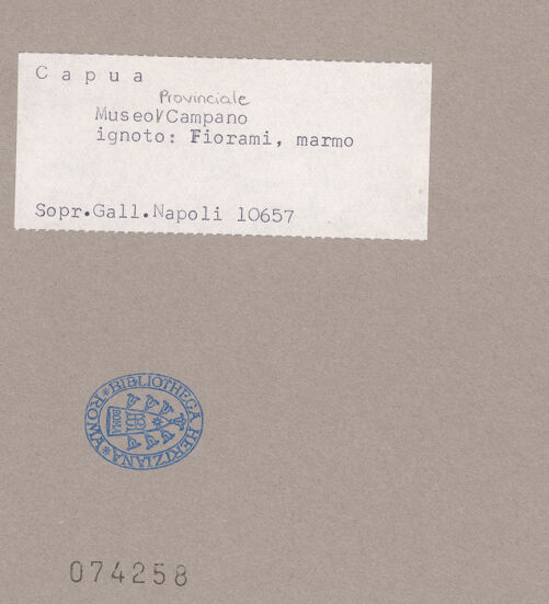 Rückseite von Sopr. BAS NA [https://www.deutsche-digitale-bibliothek.de/content/lizenzen/rv-ez/] Platte mit Blumen - Gesamtansicht, bh074258_recto. Foto.