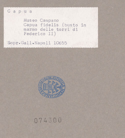 Rückseite von Sopr. BAS NA [https://www.deutsche-digitale-bibliothek.de/content/lizenzen/rv-ez/] Kopf der Capua Fidelis - Seitenansicht von rechts, bh074300_recto. Foto.