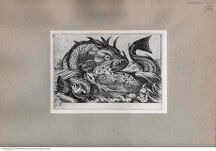 Thumbnail für 152-B-XVII-p-161