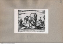 Thumbnail für 156-B-XVII-p-161