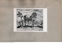 Thumbnail für 158-B-XVII-p-161