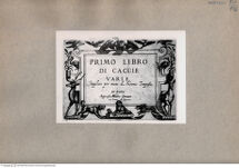 Thumbnail für 176-B-XVII-p-164