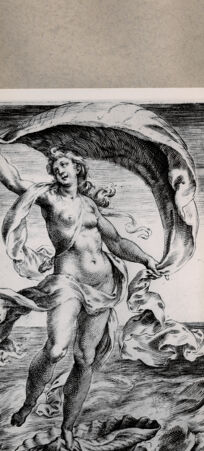 Rückseite von  [http://creativecommons.org/publicdomain/mark/1.0/] Venus - , bh075258. Foto.