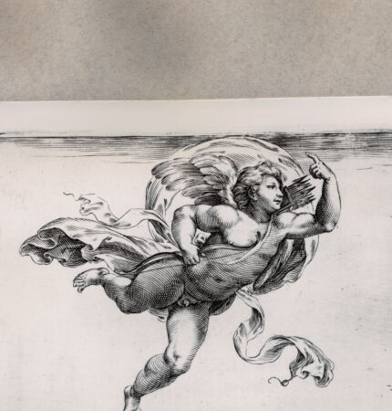 Rückseite von  [http://creativecommons.org/publicdomain/mark/1.0/] Amor - , bh075259. Foto.