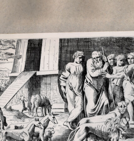 Rückseite von  [http://creativecommons.org/publicdomain/mark/1.0/] Noah verlässt die Arche - , bh075347. Foto.