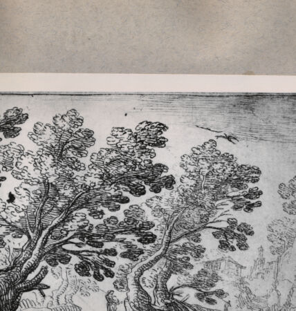 Rückseite von  [http://creativecommons.org/publicdomain/mark/1.0/] Die Landschaft - , bh076357. Foto.