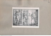 Thumbnail für FALCONE