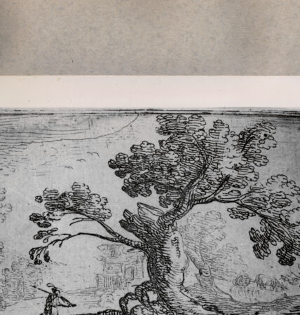 Rückseite von  [http://creativecommons.org/publicdomain/mark/1.0/] Ein Mann vor einer Baumlandschaft - , bh076862. Foto.