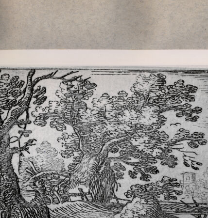 Rückseite von  [http://creativecommons.org/publicdomain/mark/1.0/] Landschaft - , bh076865. Foto.