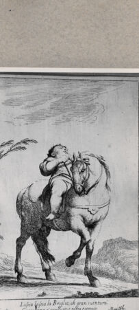 Rückseite von  [http://creativecommons.org/publicdomain/mark/1.0/] Cacasenno - , bh076953. Foto.