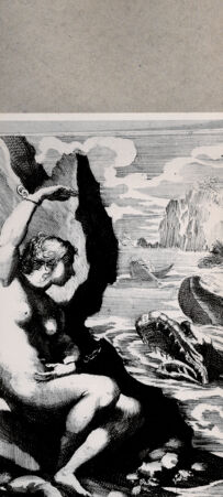 Rückseite von  [http://creativecommons.org/publicdomain/mark/1.0/] Andromeda - , bh076966. Foto.