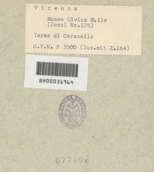 Rückseite von bh077602_recto