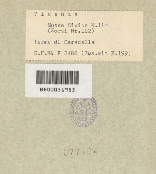 Rückseite von bh077604_recto