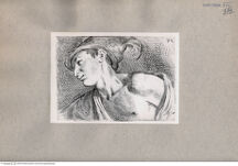 Thumbnail für 292-B-XVII-p-301