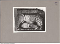 Thumbnail des vierten Ordners