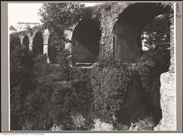 Thumbnail des zweiten Ordners