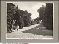 Thumbnail des 9. Ordners