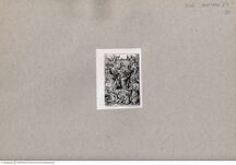 Thumbnail für MADONNEN