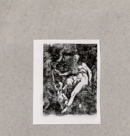 Rückseite von  [http://creativecommons.org/publicdomain/mark/1.0/] Venus - , bh084939. Foto.