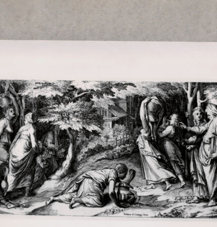 Rückseite von  [http://creativecommons.org/publicdomain/mark/1.0/] Darstellung nach Polidoro Caravaggio (Caldara, Polidoro) - , bh085216. Foto.