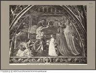 Thumbnail des dritten Ordners