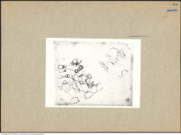 Thumbnail des vierten Ordners