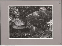 Thumbnail des 8. Ordners