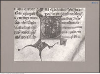 Thumbnail des 14. Ordners