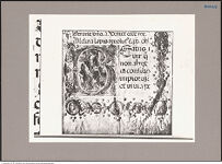 Thumbnail des 15. Ordners