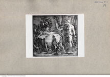 Thumbnail für 84-B-XVI-p-342-349