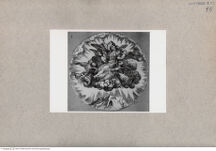 Thumbnail für 95-B-XVI-p-388-391