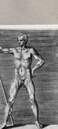 Rückseite von  [http://creativecommons.org/publicdomain/mark/1.0/] Anatomische Darstellung eines Mannes - , bh092456. Foto.