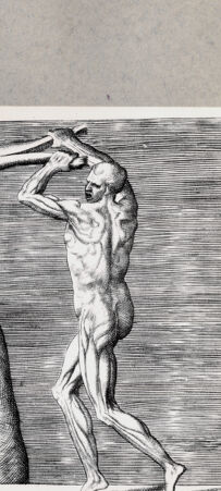 Rückseite von  [http://creativecommons.org/publicdomain/mark/1.0/] Seitliche anatomische Darstellung eines Mannes - , bh092458. Foto.