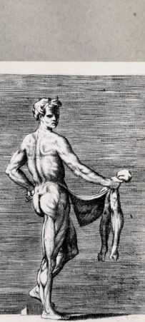 Rückseite von  [http://creativecommons.org/publicdomain/mark/1.0/] Seitliche anatomische Darstellung eines Mannes - , bh092461. Foto.