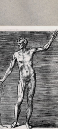 Rückseite von  [http://creativecommons.org/publicdomain/mark/1.0/] Anatomische Darstellung eines Mannes - , bh092462. Foto.