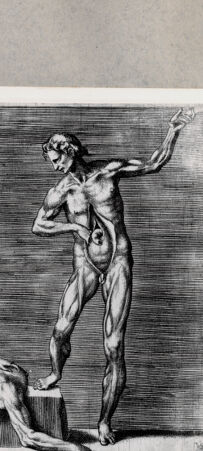 Rückseite von  [http://creativecommons.org/publicdomain/mark/1.0/] Anatomische Darstellung eines Mannes mit geöffnetem Bauch - , bh092465. Foto.