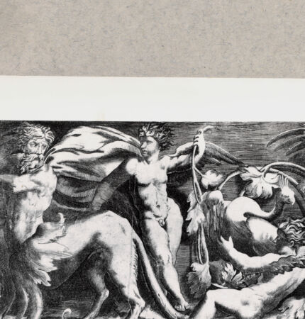 Rückseite von  [http://creativecommons.org/publicdomain/mark/1.0/] Fries - , bh092842. Foto.