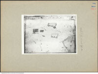 Thumbnail für Siena Bibl. Comunale (I) S II 4  Fol. 1-41r