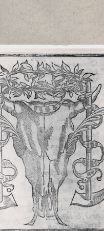 Rückseite von  [http://creativecommons.org/publicdomain/mark/1.0/] Frontispiz ? - , bh094557. Foto.